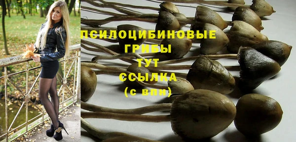 гашик Алзамай