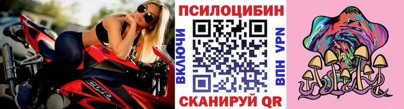 Галлюциногенные грибы прущие грибы Карасук