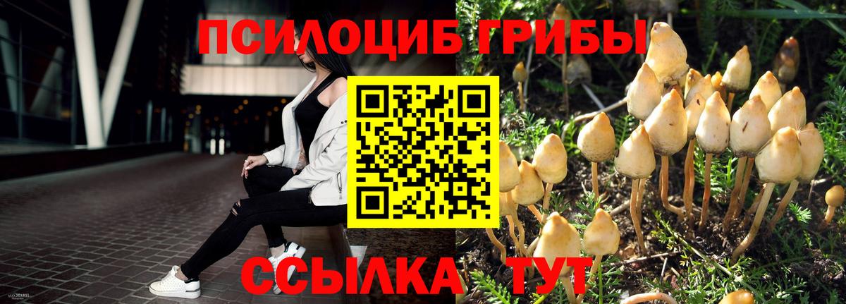 Карасук  Псилоцибиновые грибы Magic Shrooms  как найти закладки  Вход с VPN 