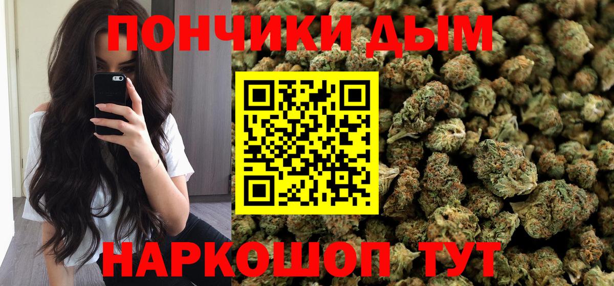 Бошки Шишки гибрид Карасук